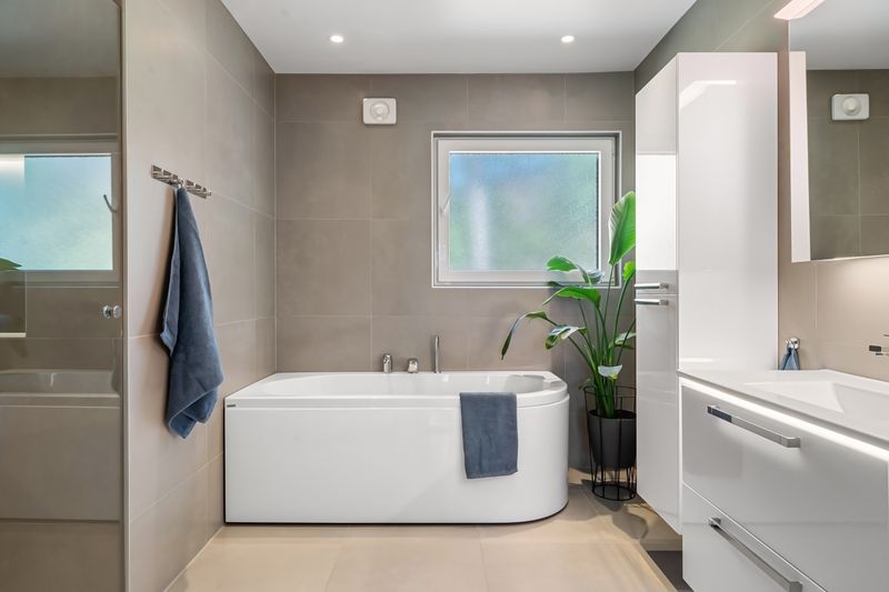 a bathroom with a plant